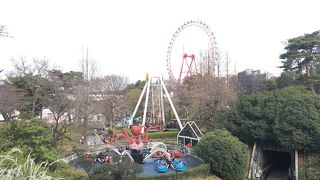 ショーのイベントがあります