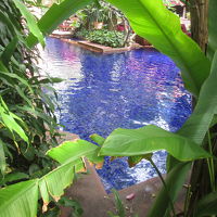 シェラトン グランデ スクンビット A ラグジュアリー コレ