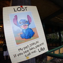 鳥たちのコンサートに乱入 By Miyako07 魅惑のチキルームのクチコミ フォートラベル