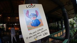 鳥たちのコンサートに乱入！