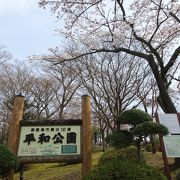 桜に、富士山に・・・(^_^)v