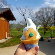 ネモフィラソフト