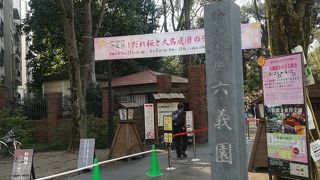 本格的な日本庭園