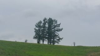 遠くから見るだけです