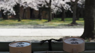 花見に行きました