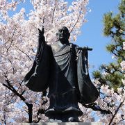 観桜の穴場スポット