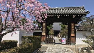 静かに観桜を楽しめる良いお寺
