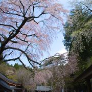 湖畔の神社