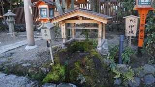 眺めるだけでまあいいかなと思います