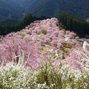 高見の郷 クチコミ アクセス 営業時間 川上 東吉野 フォートラベル