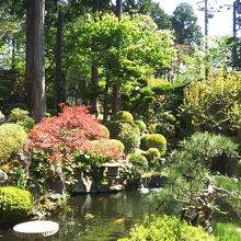 美しい日本庭園を見ながら食べました