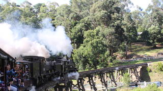 パッフィンビリー鉄道ツアー