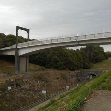 この橋の上からとる。向こう側が多摩東公園。