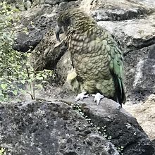 鳥類を観察できるエリアもある