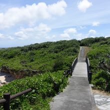 白鳥崎付近の遊歩道。