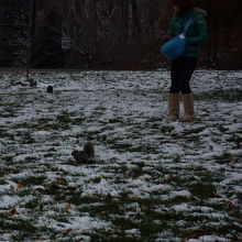 リスも人に慣れているようでした。