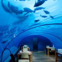 コンラッドといえば、このレストランです