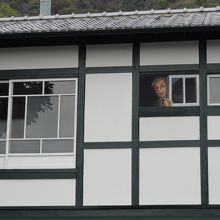 二階の窓からアインシュタイン博士が