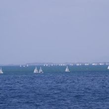 遠くに琵琶湖大橋が見えます