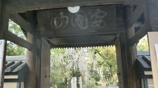 名門の古刹にしては簡素な門だ