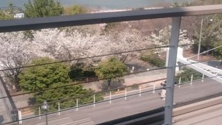 平日にテラスでランチは気持ちがいい