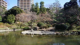園内には湧水があって、潤いが豊か