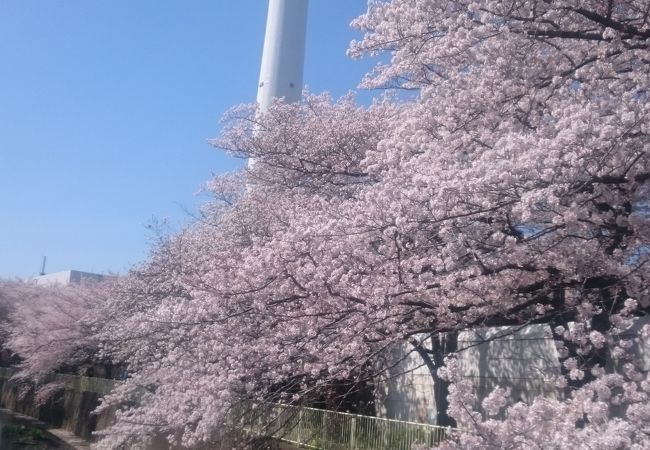 高井戸駅