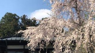 神社の境内にありました