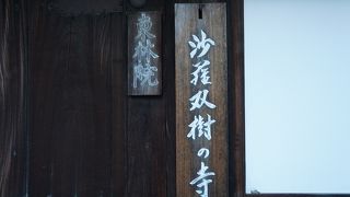 沙羅双樹といえばここというのは確かに京都では定説です