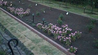 有楽町側からすぐ