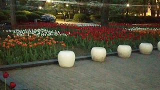 ベンチがたくさん