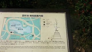 雲の形らしいです