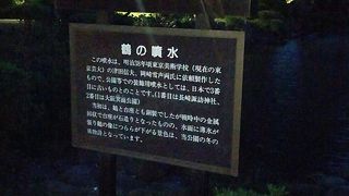 自然がいっぱい