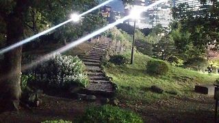 アスレチック気分