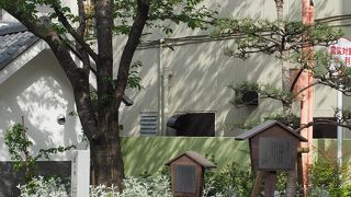 細長い公園です