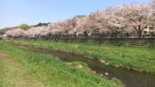 地域によって表情が違う