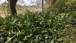 とても良い公園です