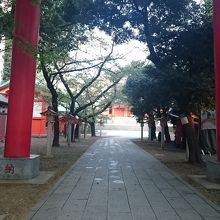 何度も歩いた道