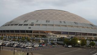 ドラゴンズ王国