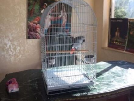 キャラバン ホテル 写真