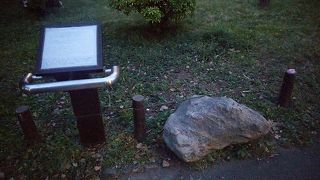 南極なのかどうか・・・わかりづらい石