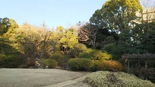 ちょっとした大名庭園のような雰囲気も漂わせます