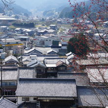 森野旧薬園から見下ろした家並み