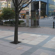 東京区政会館から見た東京府立第４中学校の石柱碑の様子です。