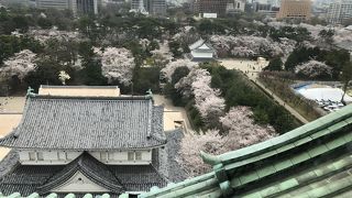 桜の時期は大混雑！