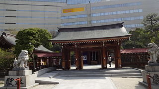 しだれ桜がきれいでした。