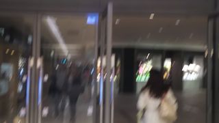 ギャラリーやミュージアム、コンサートなど