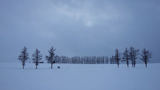 定番スポットです