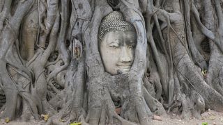 アユタヤのアイコン的存在