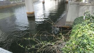 昔は渡し船があるほど川幅が広かったのですね